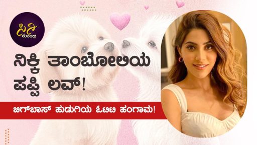 5a76c58b 71d1 48c8 9c69 71e808655675