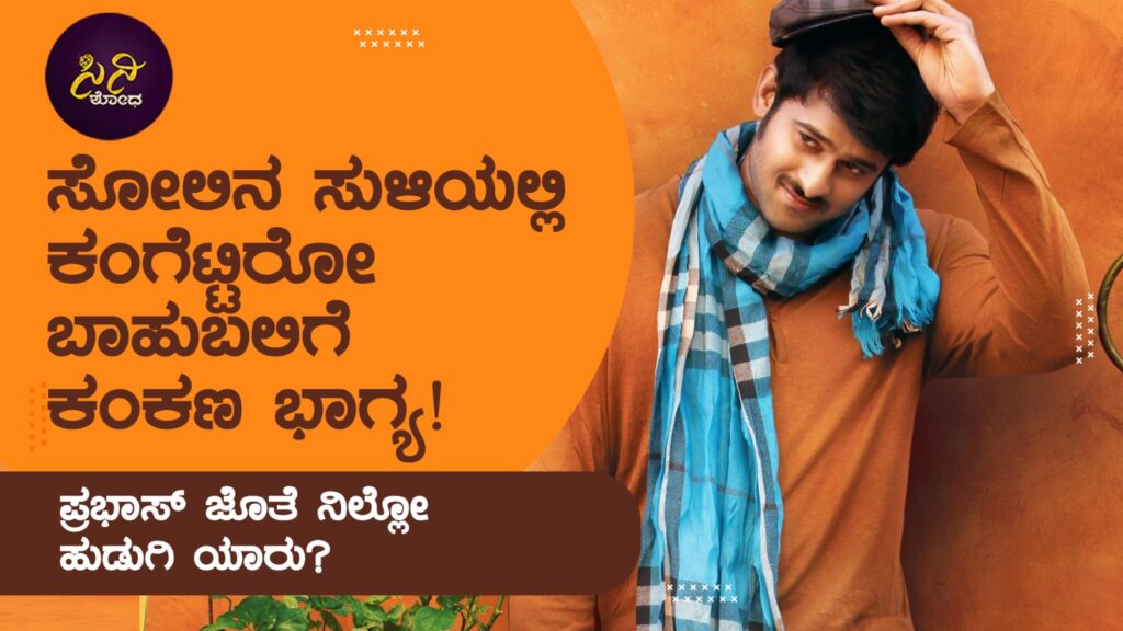 de0385e1 b232 4ccf 8a33 537b69a1189b