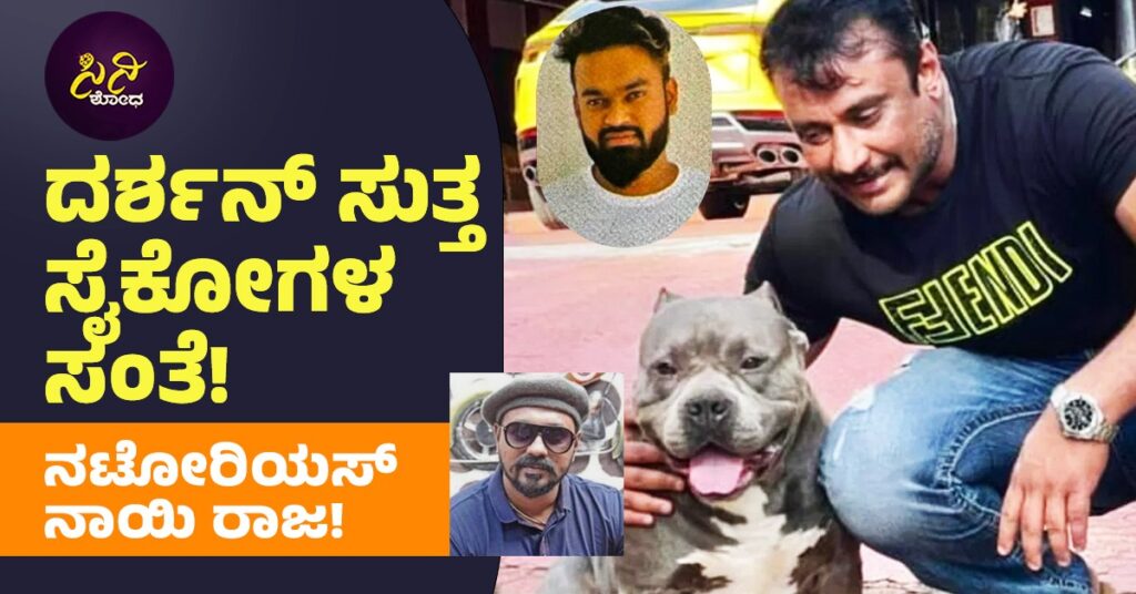 d3abeffe c5d0 4312 8645 4061fb357fdf