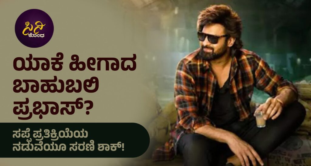 519298b6 425f 415e bf4f e2e280fa42a3 1