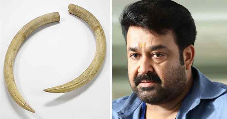 mohanlal: ಸ್ಟಾರ್ ನಟನಿಗೆ ಶೋಕಿಯೇ ಮುಳುವಾಯ್ತು! 1 » cinishodha.com mohanlal elephant tusk case279928 1564401829 1
