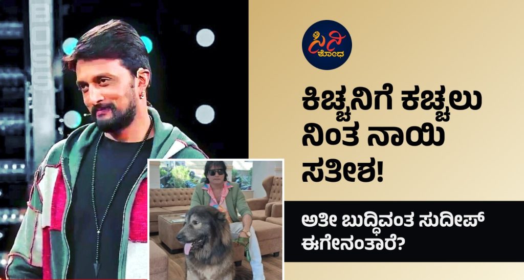 779c6805 7f0b 414e a491 f667d2fa9a71