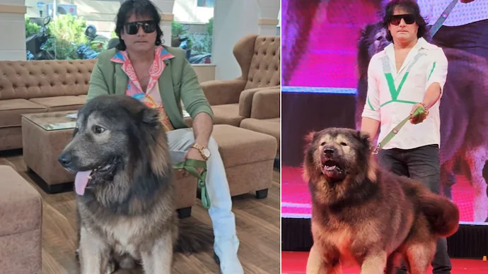 ed investigates bengaluru man who claimed to buy rs 50 crore wolfdog says pictures were staged 174052537